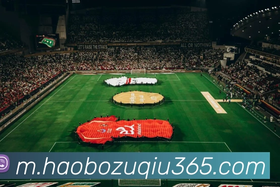 好博体育APP 封面图